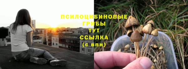 меф Богородск