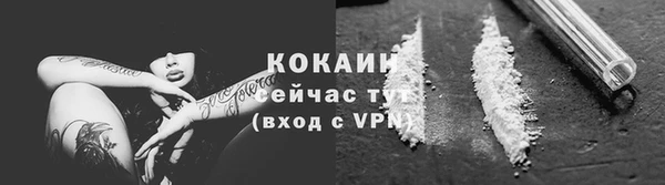 mdpv Богородицк
