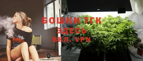 mdpv Богородицк